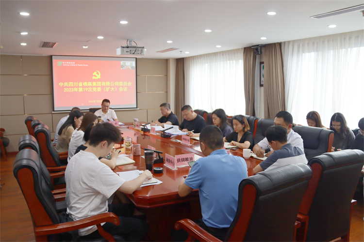 集團(tuán)公司召開(kāi)2023年第19次黨委（擴(kuò)大）會(huì)議