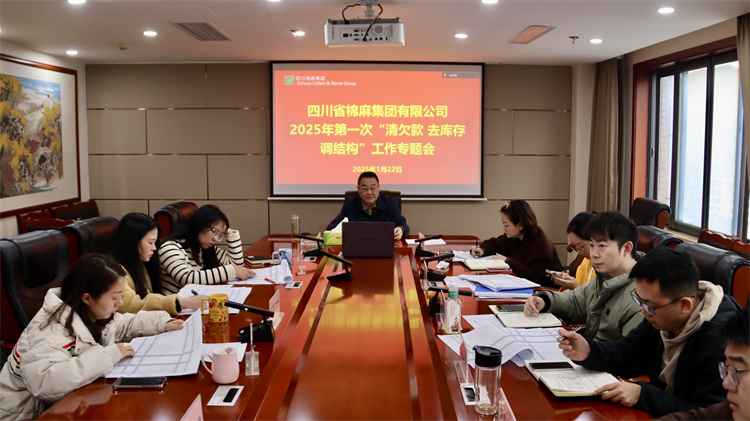 集團(tuán)公司召開2025年第一次“清欠款、去庫存、調(diào)結(jié)構(gòu)”工作專題會(huì)