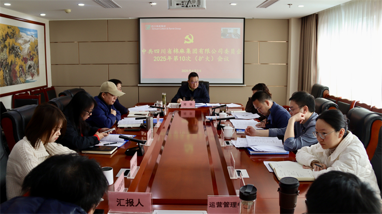 集團(tuán)公司召開2025年第10次黨委（擴(kuò)大）會(huì)議