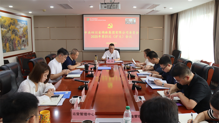 集團(tuán)公司召開(kāi)2025年第31次黨委（擴(kuò)大）會(huì)議