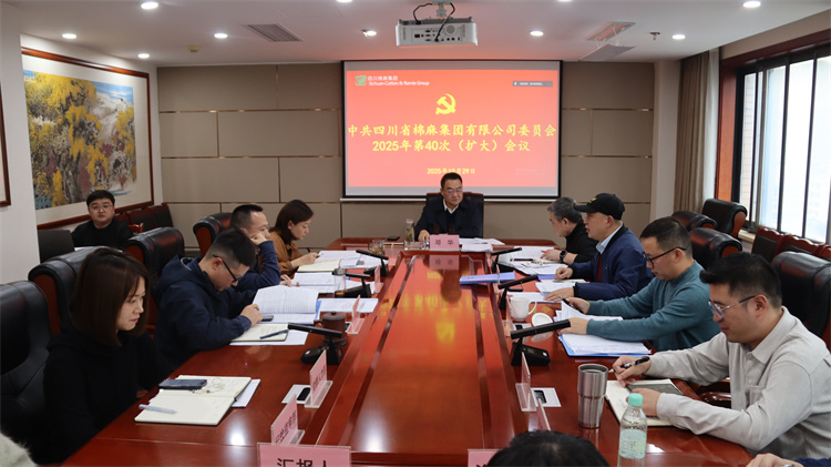集團(tuán)公司召開2025年第40次黨委（擴(kuò)大）會(huì)議