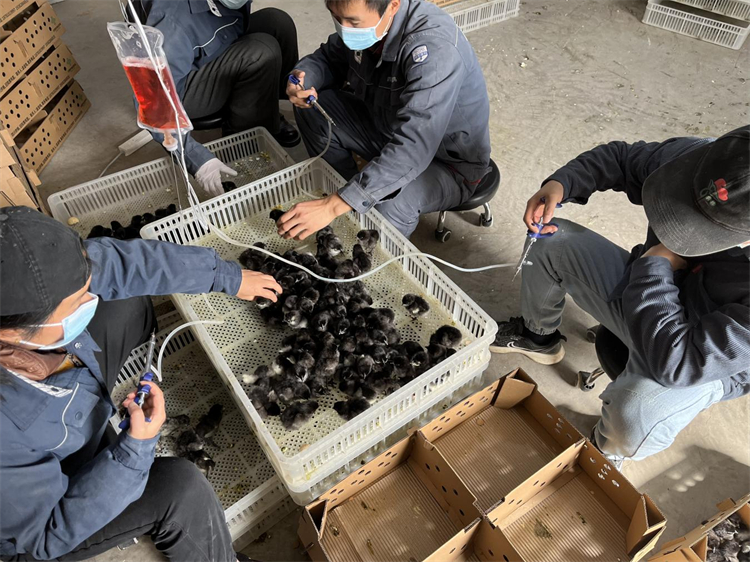 不負(fù)春光加油干   “孵化”發(fā)展新動能